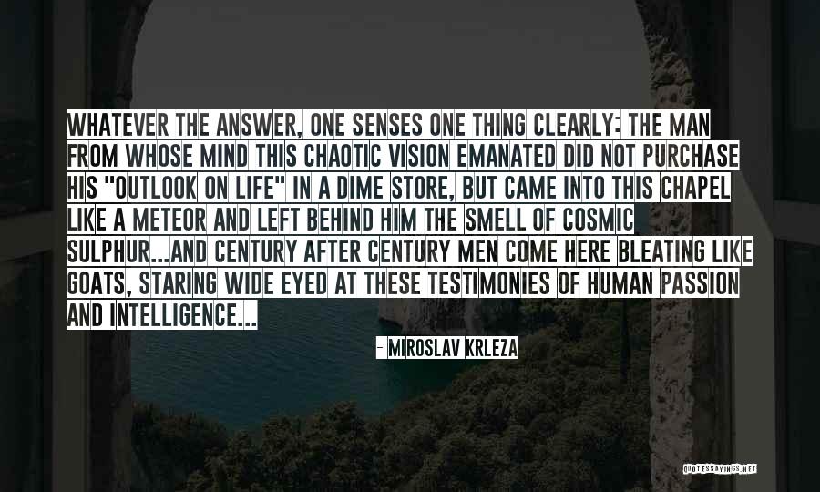 Mind And Senses Quotes By Miroslav Krleza Mind And Senses Quotes By Miroslav Krleza
