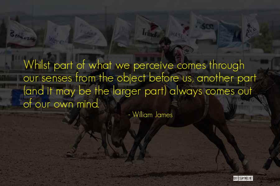 Mind And Senses Quotes By William James Mind And Senses Quotes By William James