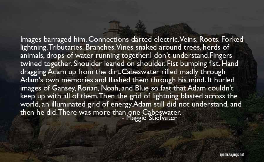 Mind Blasted Quotes By Maggie Stiefvater