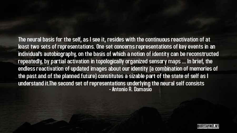 Mind Body Connection Quotes By Antonio R. Damasio