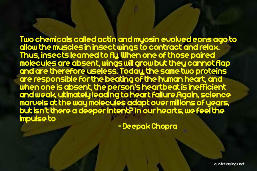 Mind Body Connection Quotes By Deepak Chopra Mind Body Connection Quotes By Deepak Chopra