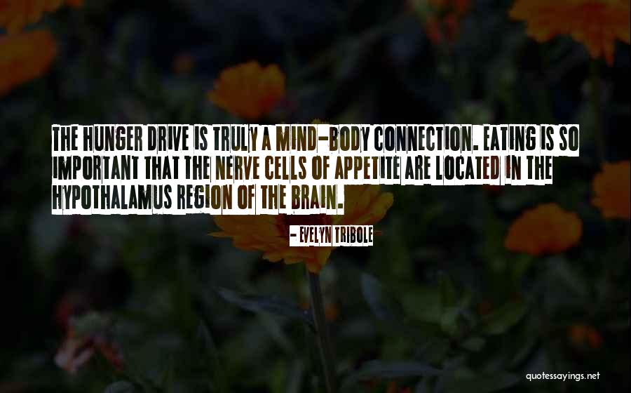 Mind Body Connection Quotes By Evelyn Tribole Mind Body Connection Quotes By Evelyn Tribole