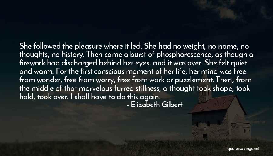 Mind Burst Quotes By Elizabeth Gilbert Mind Burst Quotes By Elizabeth Gilbert