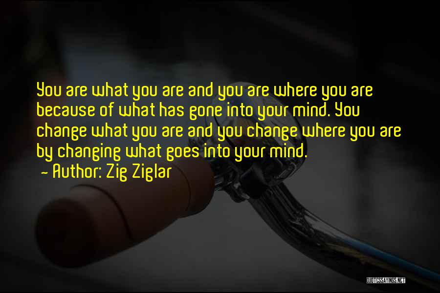 Mind Changing Quotes By Zig Ziglar