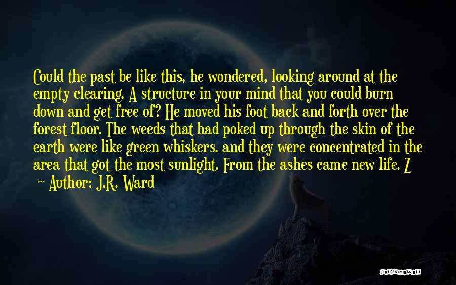 Mind Clearing Quotes By J.R. Ward