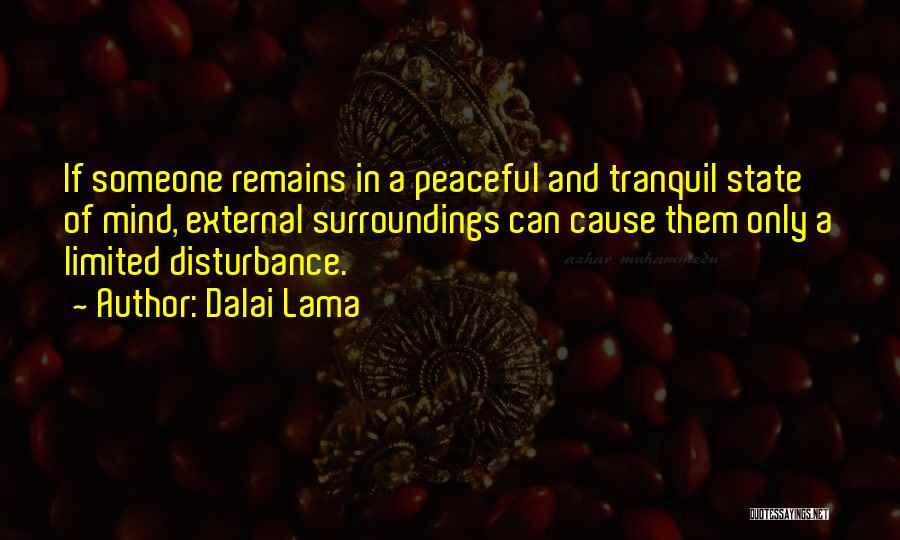 Mind Disturbance Quotes By Dalai Lama