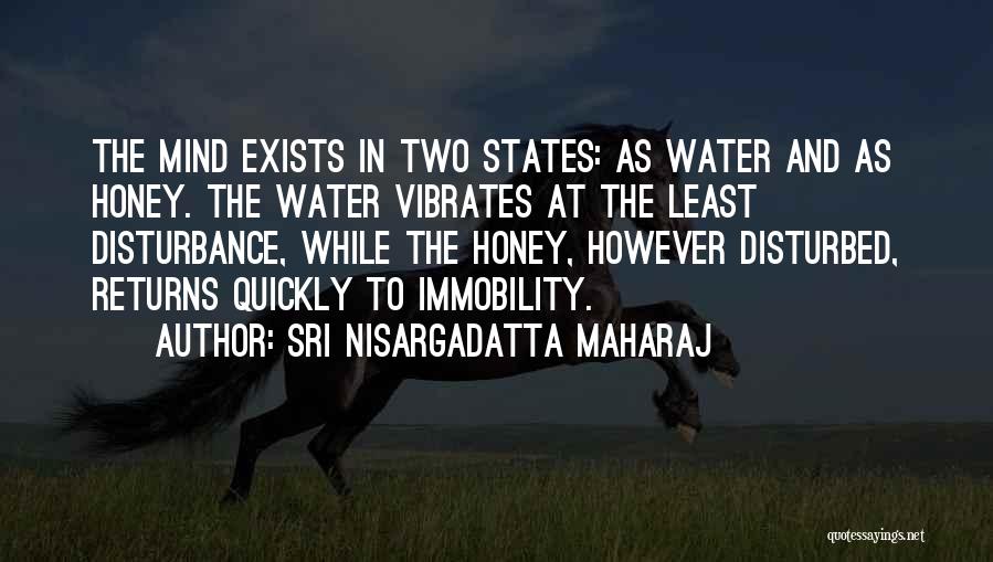 Mind Disturbance Quotes By Sri Nisargadatta Maharaj