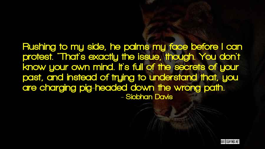 Mind Full Of You Quotes By Siobhan Davis Mind Full Of You Quotes By Siobhan Davis