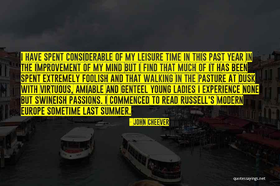 Mind Improvement Quotes By John Cheever Mind Improvement Quotes By John Cheever