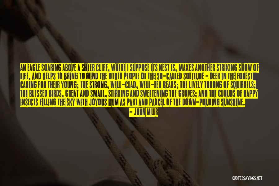 Mind In The Clouds Quotes By John Muir Mind In The Clouds Quotes By John Muir
