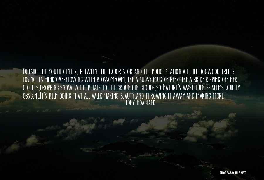 Mind In The Clouds Quotes By Tony Hoagland Mind In The Clouds Quotes By Tony Hoagland