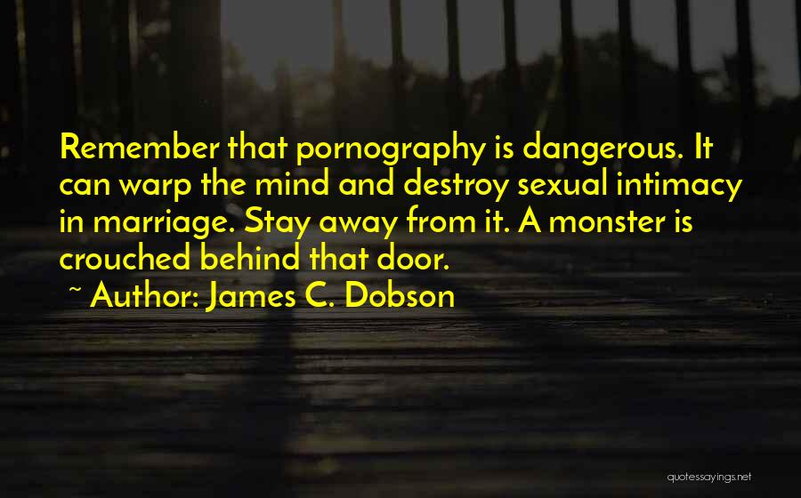 Mind Is Dangerous Quotes By James C. Dobson