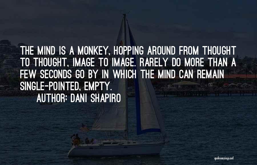 Mind Is Empty Quotes By Dani Shapiro