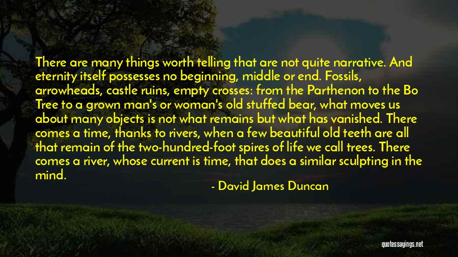 Mind Is Empty Quotes By David James Duncan