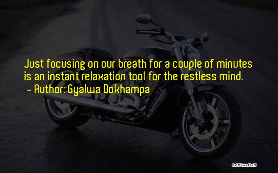 Mind Is Restless Quotes By Gyalwa Dokhampa