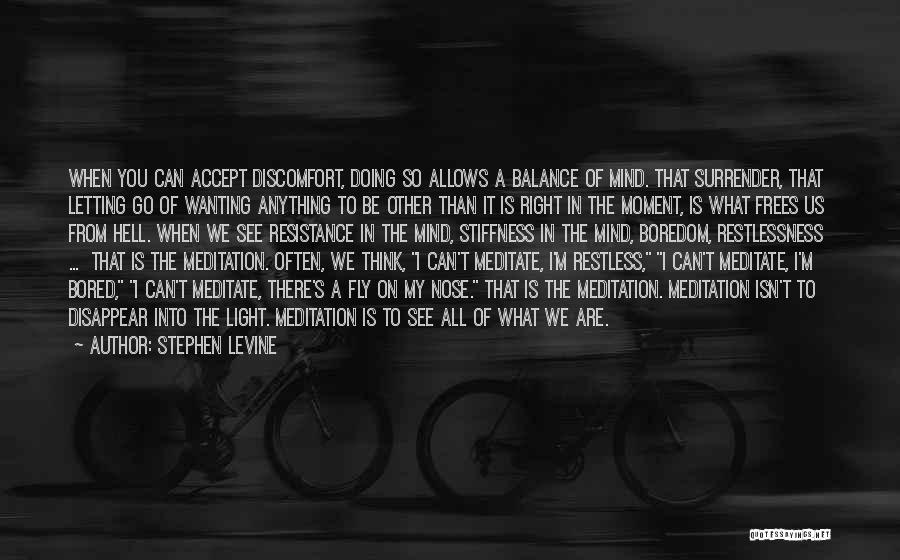 Mind Is Restless Quotes By Stephen Levine
