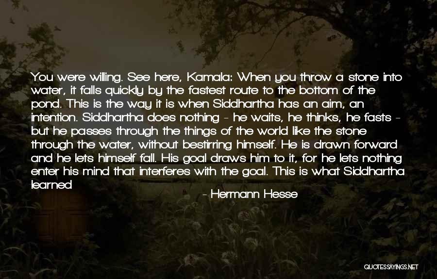 Mind Like Water Quotes By Hermann Hesse