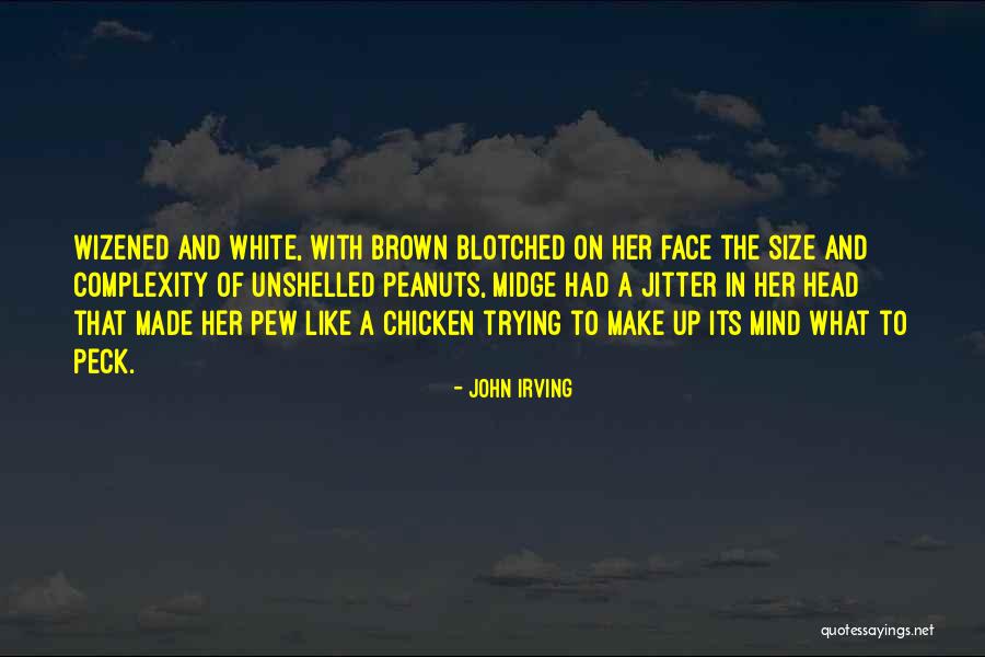 Mind Made Up Quotes By John Irving