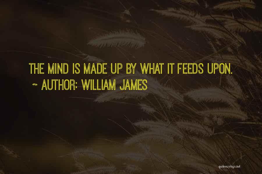 Mind Made Up Quotes By William James