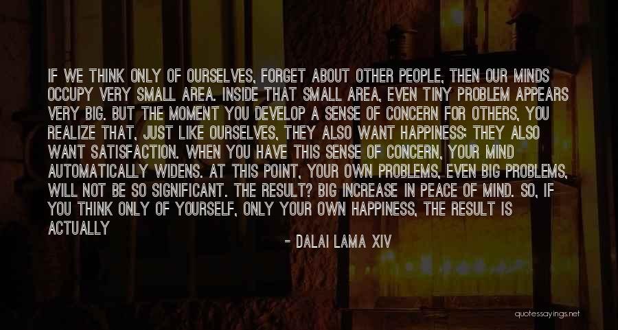 Mind Not At Peace Quotes By Dalai Lama XIV