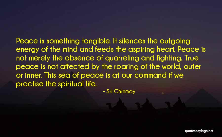 Mind Not At Peace Quotes By Sri Chinmoy