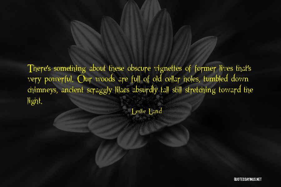 Mind Of A Lunatic Quotes By Leslie Land Mind Of A Lunatic Quotes By Leslie Land