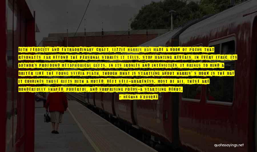 Mind Of A Writer Quotes By Meghan O'Rourke Mind Of A Writer Quotes By Meghan O'Rourke