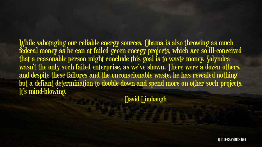 Mind On The Money Quotes By David Limbaugh