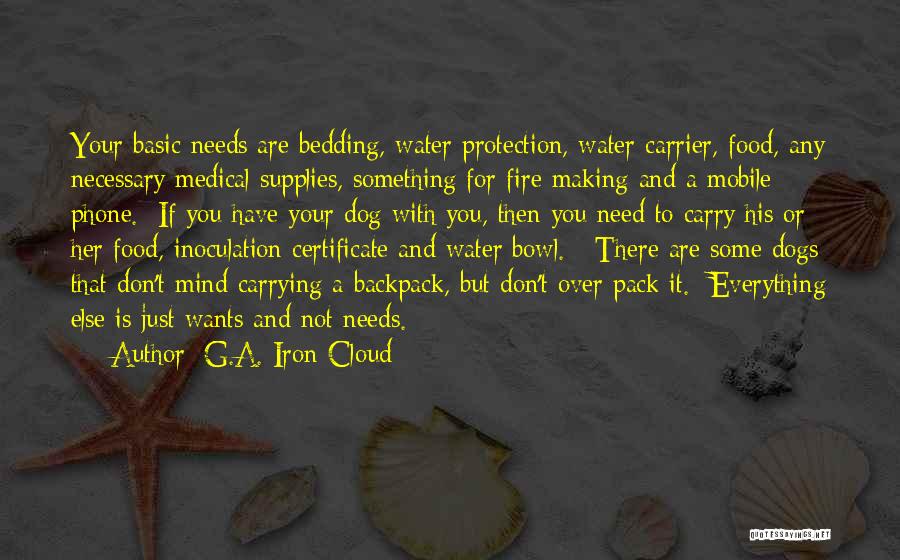 Mind Over Everything Quotes By G.A. Iron Cloud