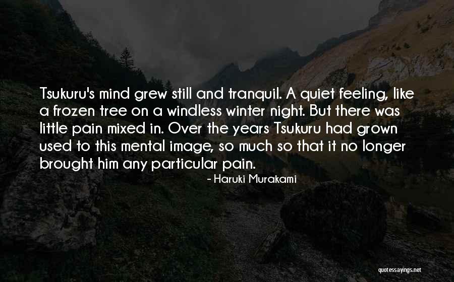 Mind Over Pain Quotes By Haruki Murakami