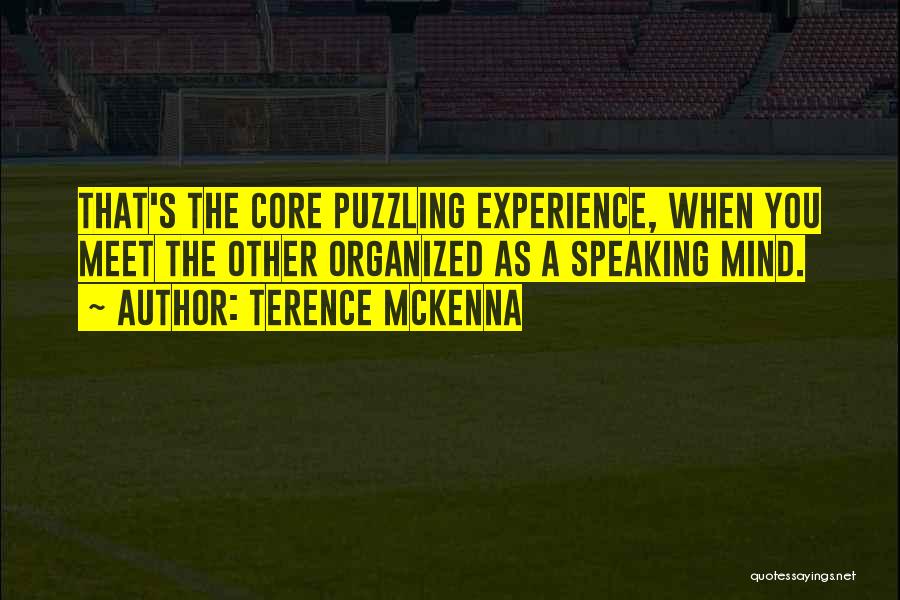 Mind Puzzling Quotes By Terence McKenna