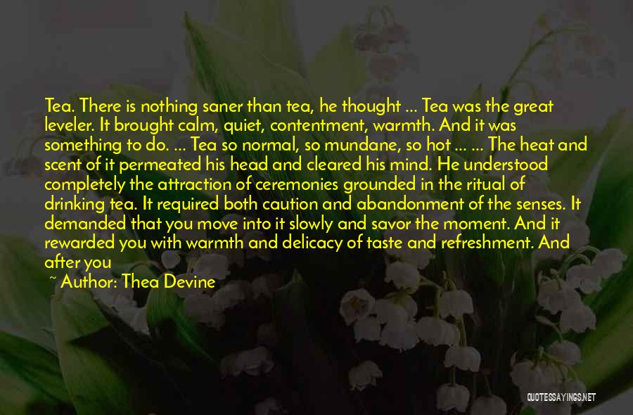 Mind Refreshment Quotes By Thea Devine