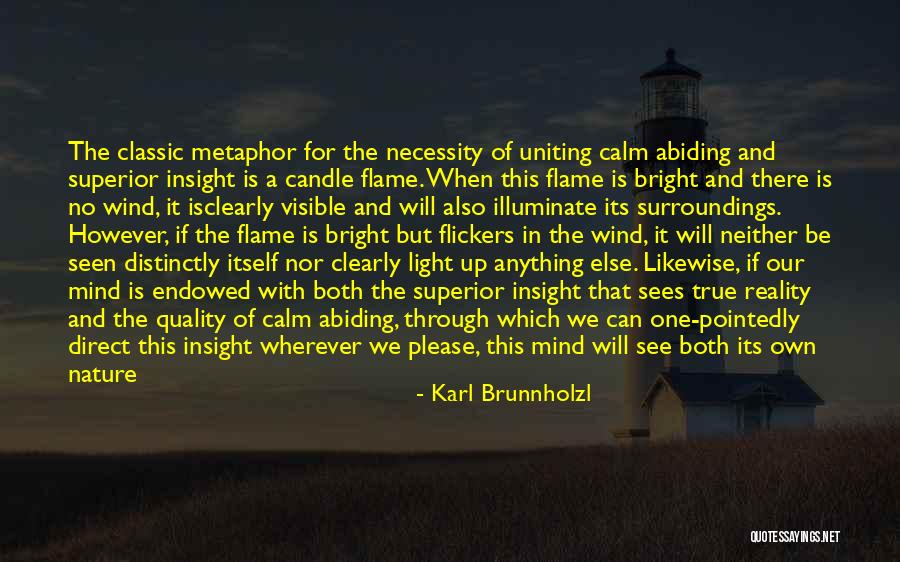 Mind Sees Quotes By Karl Brunnholzl Mind Sees Quotes By Karl Brunnholzl