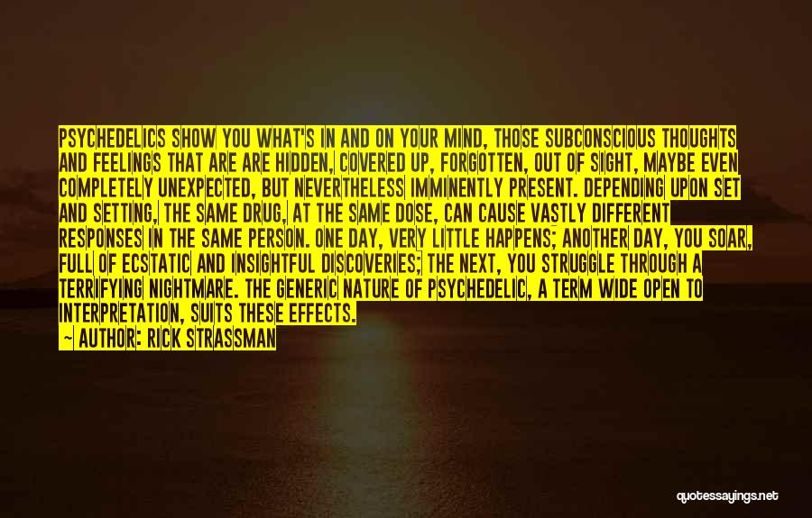 Mind Setting Quotes By Rick Strassman