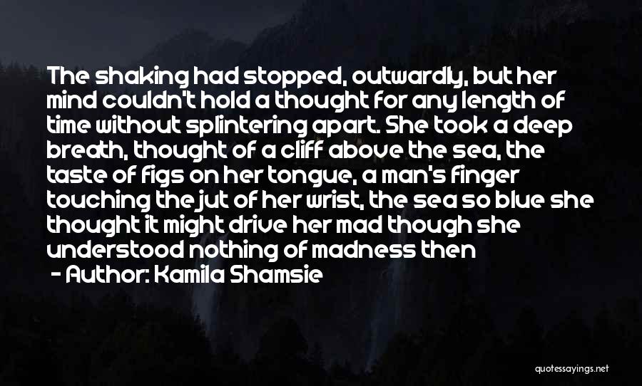 Mind Shaking Quotes By Kamila Shamsie