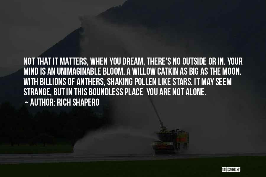 Mind Shaking Quotes By Rich Shapero