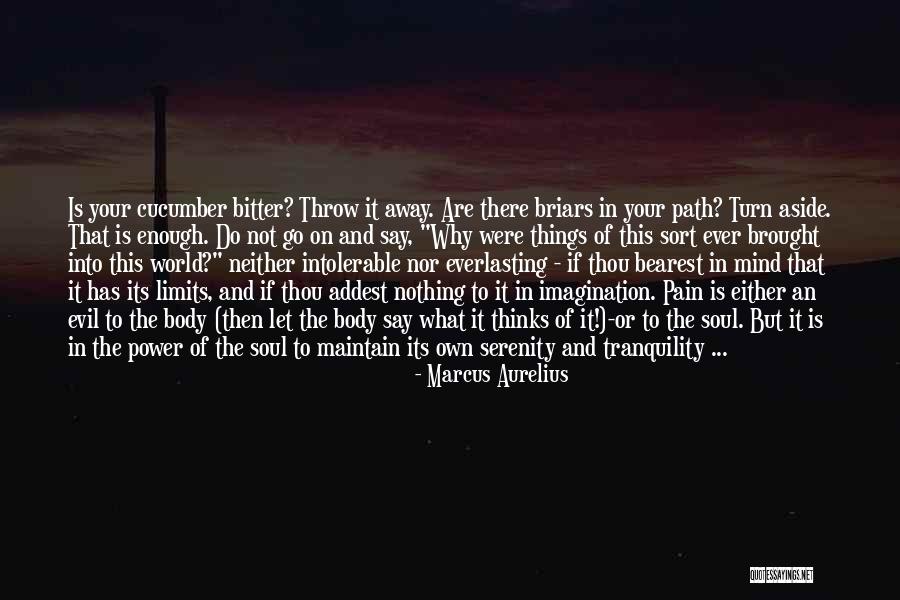 Mind Soul And Body Quotes By Marcus Aurelius Mind Soul And Body Quotes By Marcus Aurelius