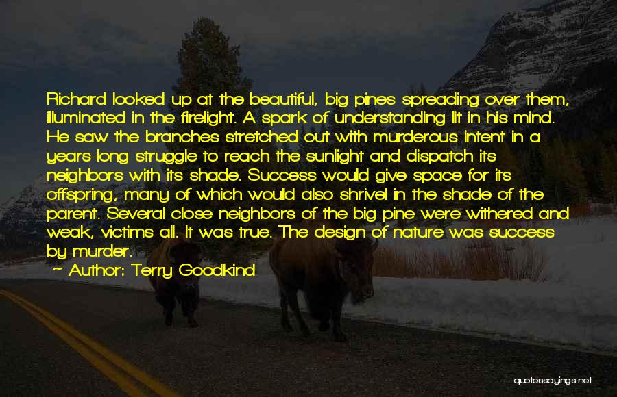 Mind Space Quotes By Terry Goodkind