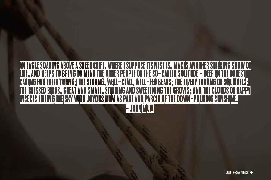 Mind Stirring Quotes By John Muir Mind Stirring Quotes By John Muir