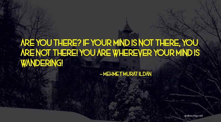 Mind Wandering Quotes By Mehmet Murat Ildan Mind Wandering Quotes By Mehmet Murat Ildan