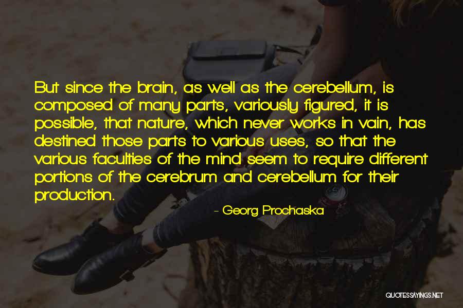 Mind Works Quotes By Georg Prochaska Mind Works Quotes By Georg Prochaska