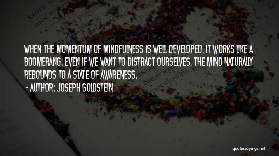 Mind Works Quotes By Joseph Goldstein Mind Works Quotes By Joseph Goldstein