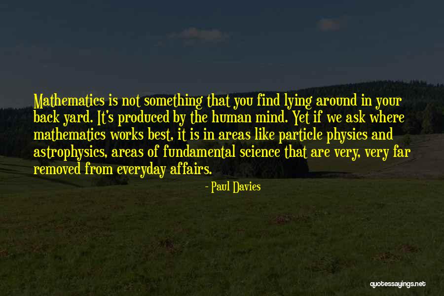 Mind Works Quotes By Paul Davies