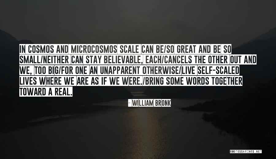 Mindenf Le K Pek Quotes By William Bronk Mindenf Le K Pek Quotes By William Bronk