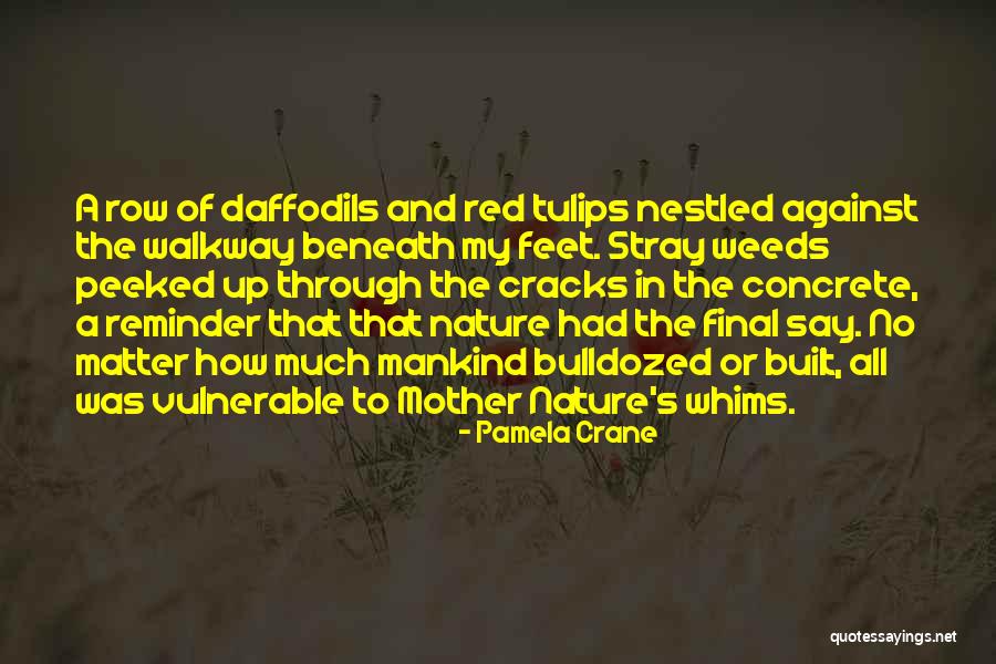 Mindenkinek K T Quotes By Pamela Crane Mindenkinek K T Quotes By Pamela Crane
