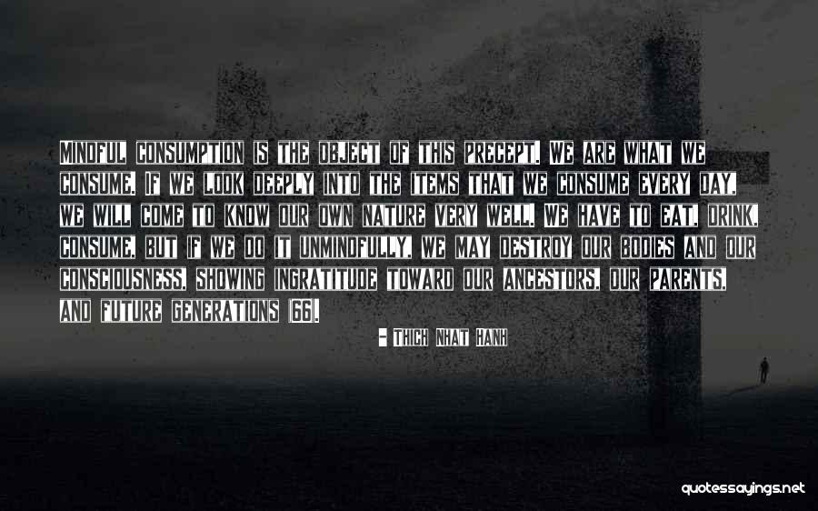Mindful Consumption Quotes By Thich Nhat Hanh Mindful Consumption Quotes By Thich Nhat Hanh