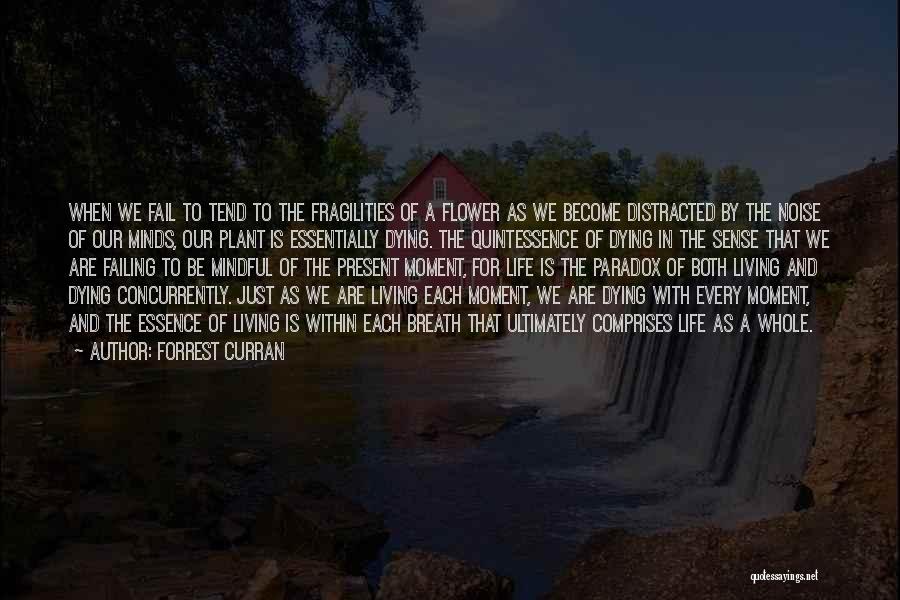 Mindful Quotes By Forrest Curran
