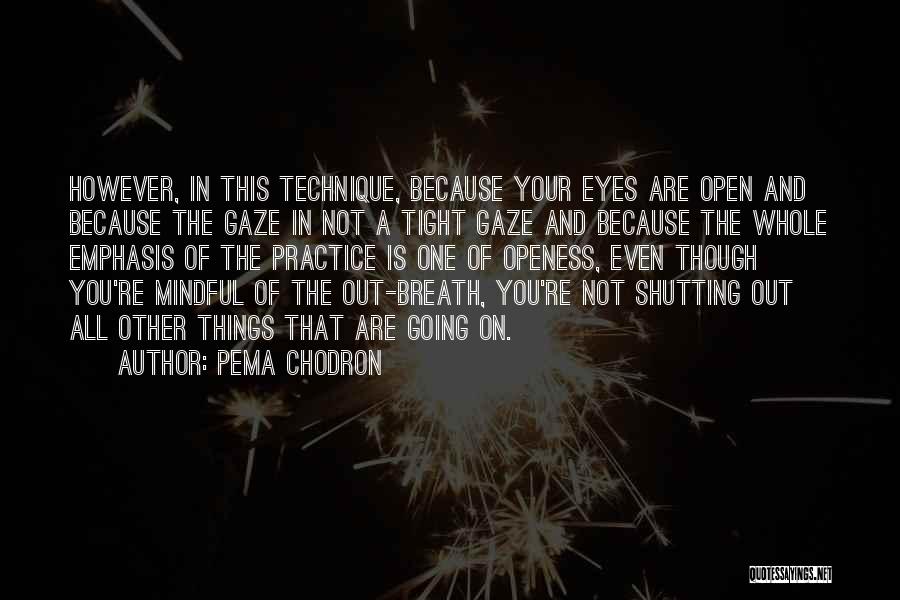 Mindful Quotes By Pema Chodron