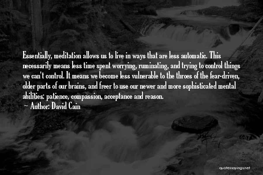 Mindfulness And Meditation Quotes By David Cain