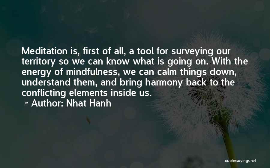 Mindfulness And Meditation Quotes By Nhat Hanh